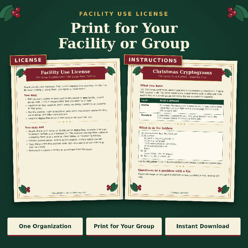 Christmas Cryptograms: 200 Large Print Puzzles in 2 Levels for Group Activities (Printable PDF, Letter + A4)