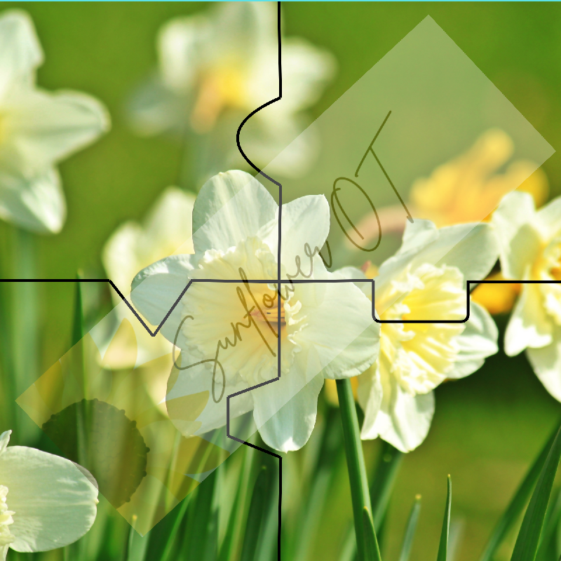 Simple Spring Flower 4-Piece Puzzle for Seniors | Memory Care Printable Activity