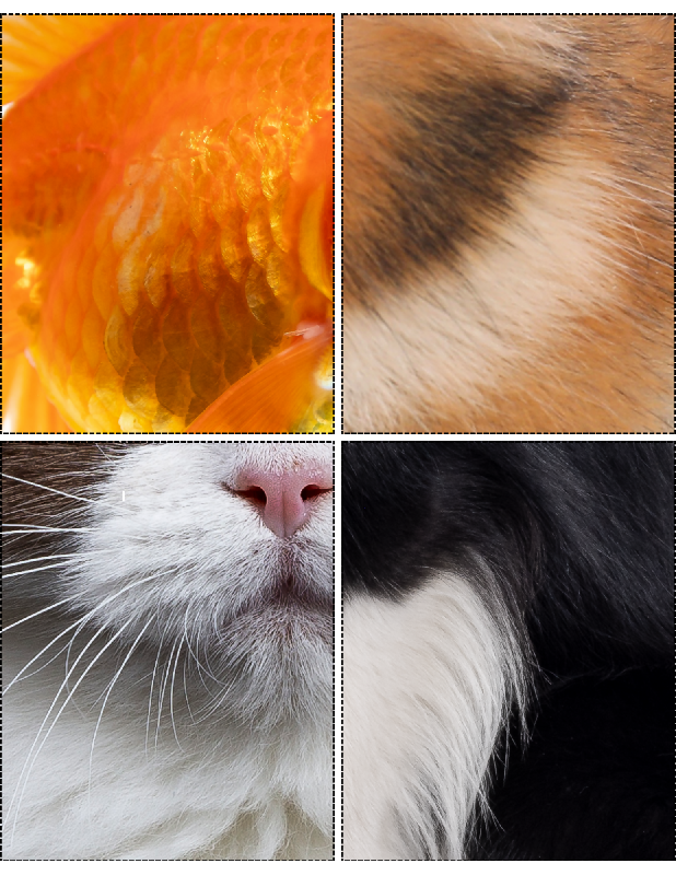 Pet Pals Zoom & Match! Printable Senior Matching Activity