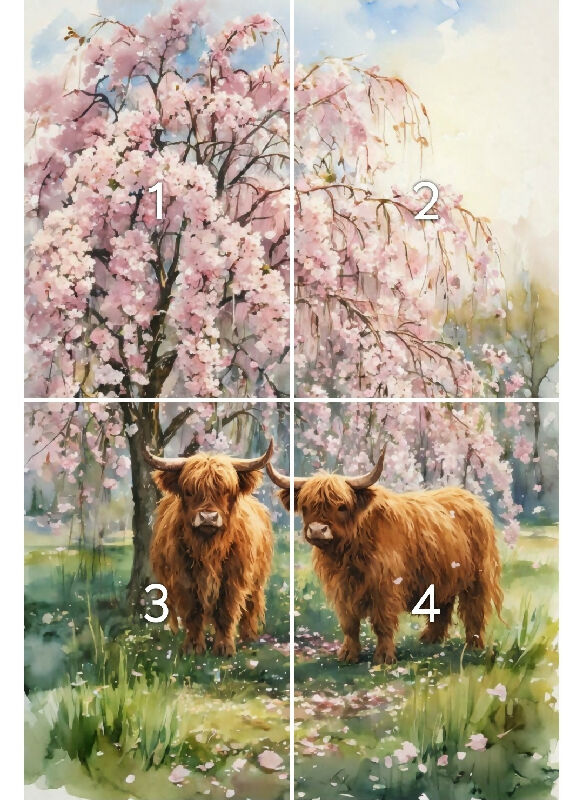 3 in 1 animals