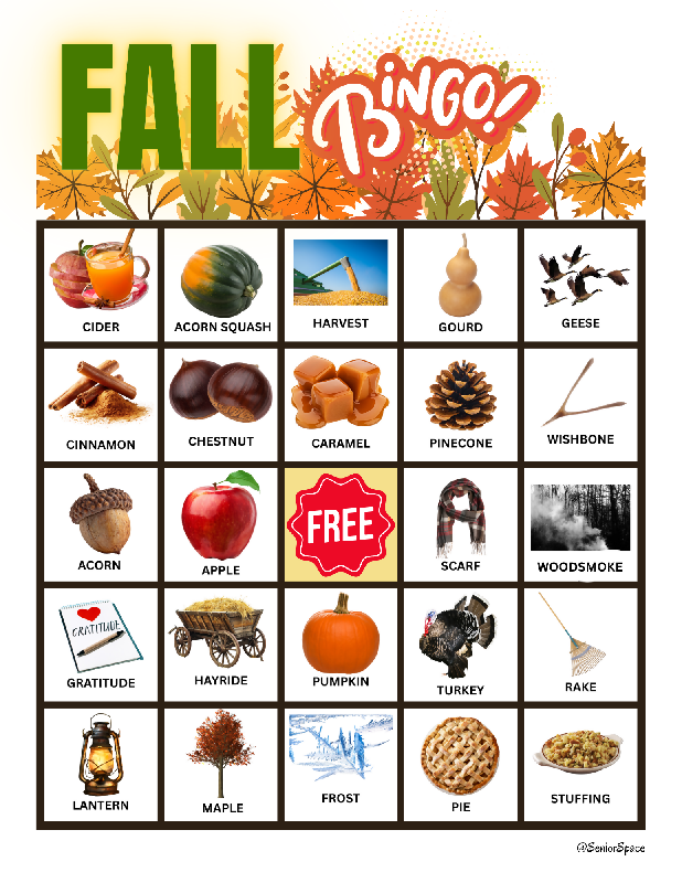 Fall Bingo for Seniors, Large Print Autumn Bingo Printable, Memory Care & Dementia Activity, Thanksgiving Game, 25 Boards + 40 Call Cards
