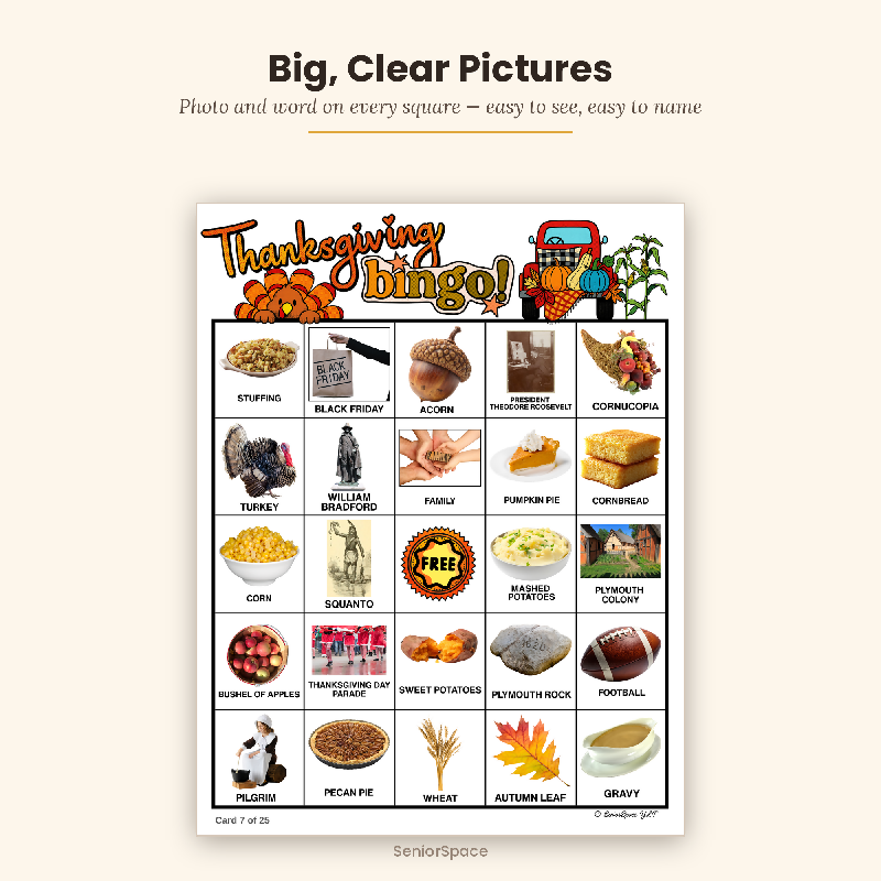 Thanksgiving Picture Bingo, 25 Printable Cards, Call Cards with Clues, Discussion Questions