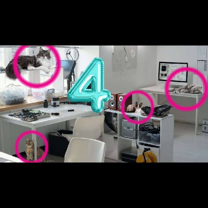 Spot the Cats Seek and Find Challenge | 42-Page Hidden Animal Game | Therapy, Classroom & Senior Activity | TV Group Game PDF