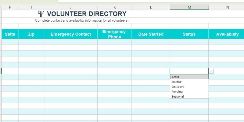 Volunteer Hours Tracker & Schedule Spreadsheet | Excel Google Sheets | Nursing Home Senior Living Nonprofit Activities Director Template
