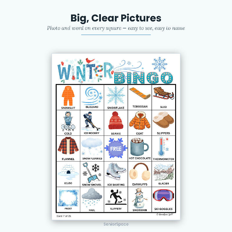 Winter Picture Bingo 25 Printable Cards, Call Cards with Clues, Memory Care Activity, Reminisce Cards, Instant Download