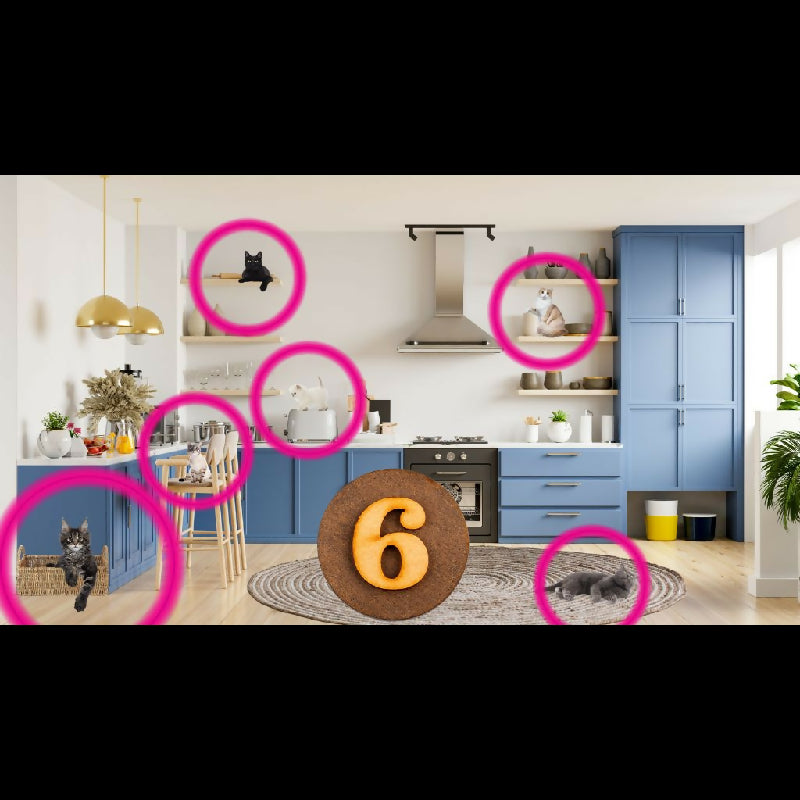Spot the Cats Seek and Find Challenge | 42-Page Hidden Animal Game | Therapy, Classroom & Senior Activity | TV Group Game PDF