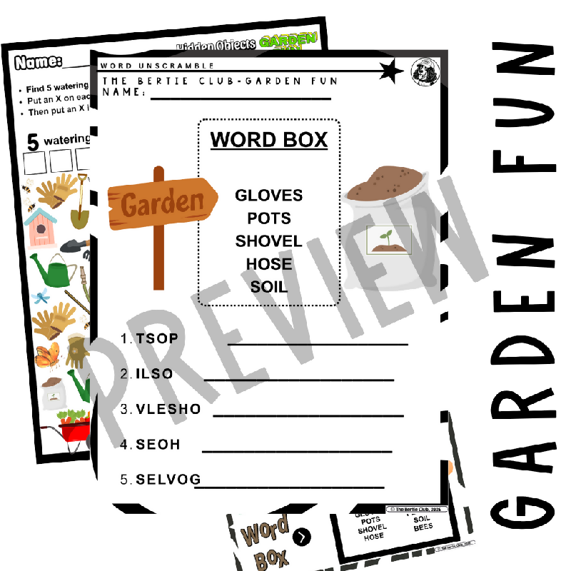 Summer Fun Activity Pack for Seniors | Hidden Objects, Word Searches & Word Scrambles