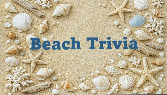 Beach Trivia