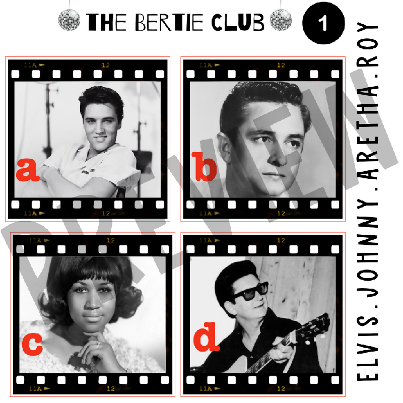 50s & 60s Music Legends Memory Match & Concentration
