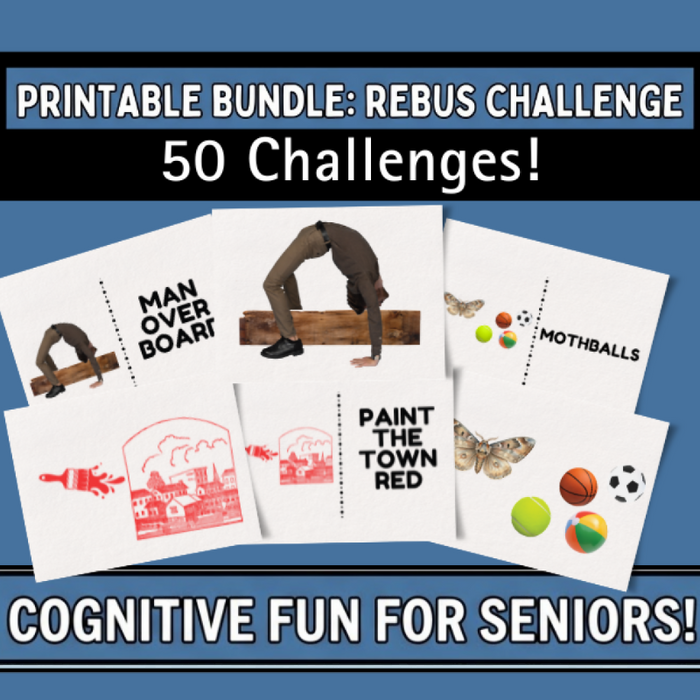 Senior Rebus Puzzle Printable, Large Print Brain Game for Elderly, Dementia Activity PDF, Nursing Home Puzzle, Memory Care Worksheet