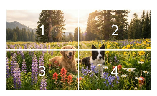dogs posters