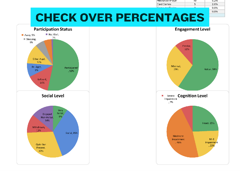 Activity Participation Tracker Excel, Activity Director Tool, Resident Engagement Spreadsheet