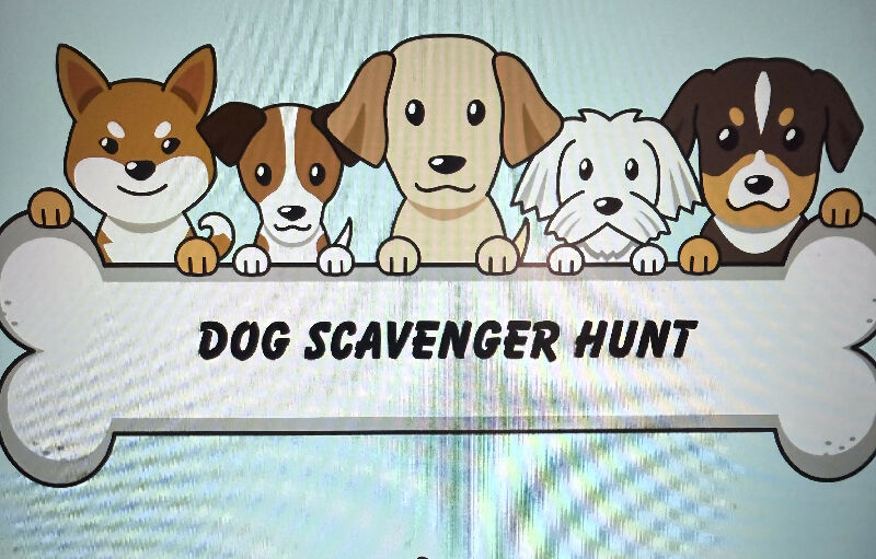 Dog Scavenger hunt