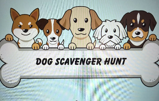 Dog Scavenger hunt