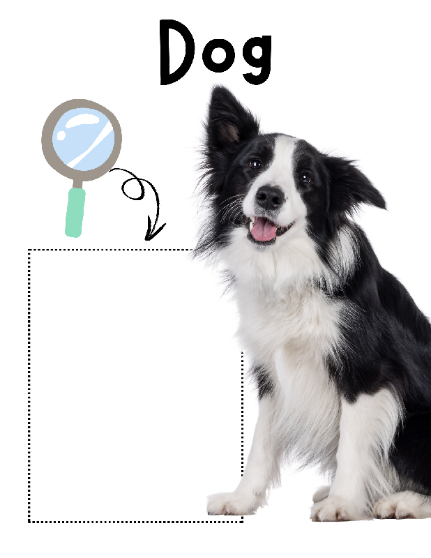 Pet Pals Zoom & Match! Printable Senior Matching Activity