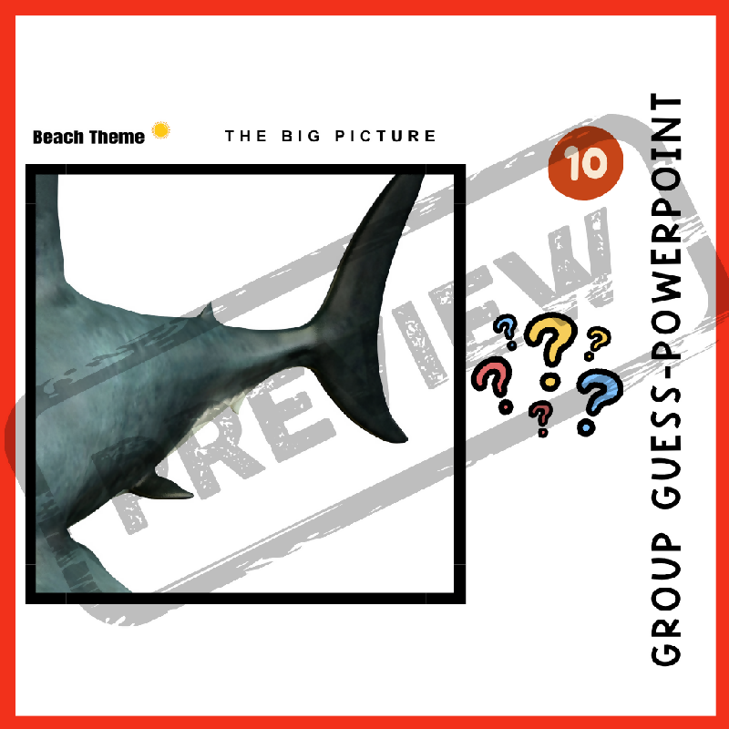 What's the Summer Picture? | Easy, Hard, Group & PowerPoint Versions