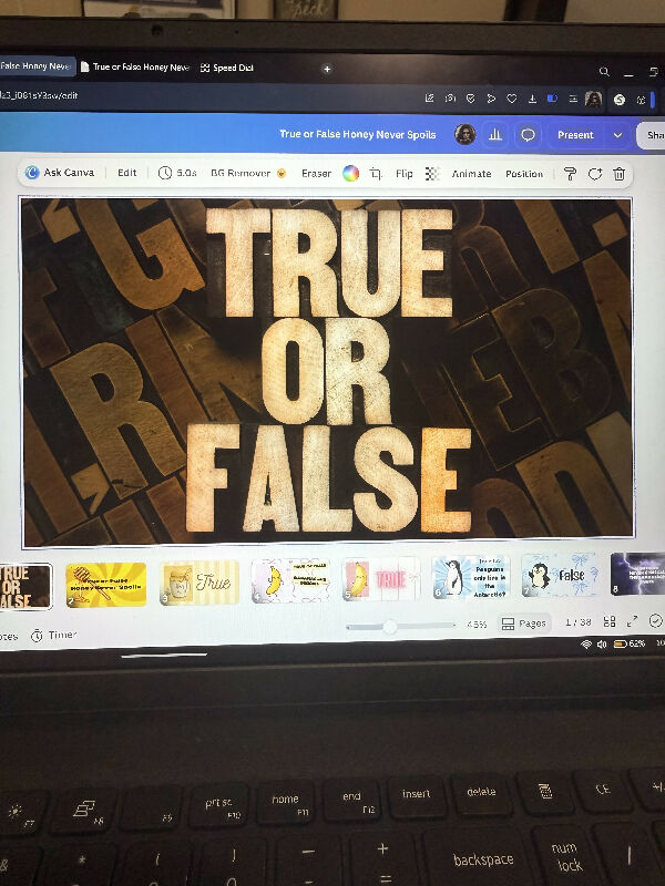 True and false trivia
