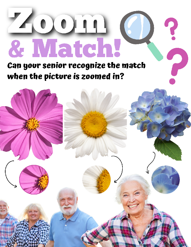 Flowers & Pollinators Zoom & Match Activity for Seniors | Cognitive Matching Game for Memory Care