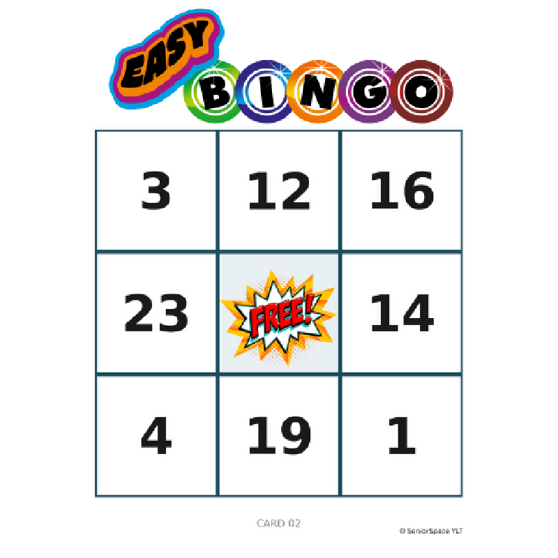 Easy Bingo for Memory Care, Large Print Dementia Activity, 25 Printable 3x3 Bingo Cards with Calling Cards & Facilitator Instructions
