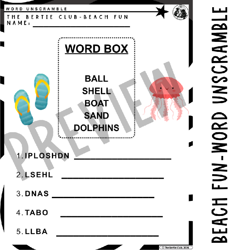 Summer Fun Activity Pack for Seniors | Hidden Objects, Word Searches & Word Scrambles