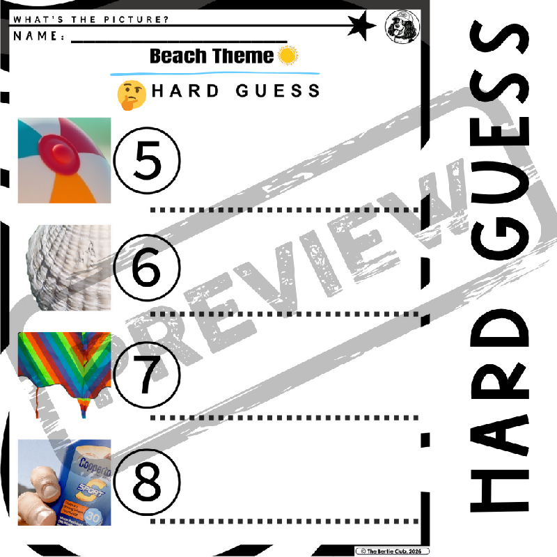 What's the Summer Picture? | Easy, Hard, Group & PowerPoint Versions