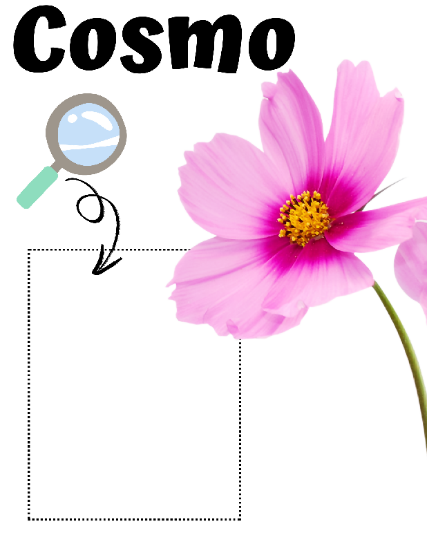 Flowers & Pollinators Zoom & Match Activity for Seniors | Cognitive Matching Game for Memory Care