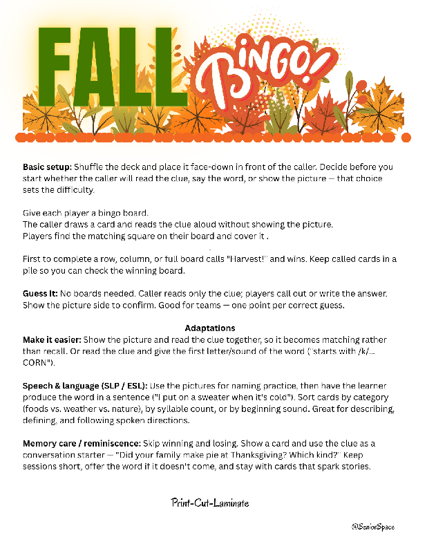 Fall Bingo for Seniors, Large Print Autumn Bingo Printable, Memory Care & Dementia Activity, Thanksgiving Game, 25 Boards + 40 Call Cards