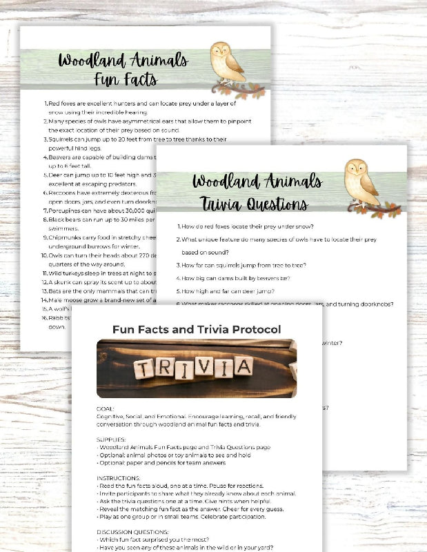 Woodland Adventure Activity Bundle: Printable No Prep Activities, Bingo Boards & Playing Cards , Multiple Campfire Games, Additional Activity Ideas, Bring the Campsite to Senior Living Themed Activities