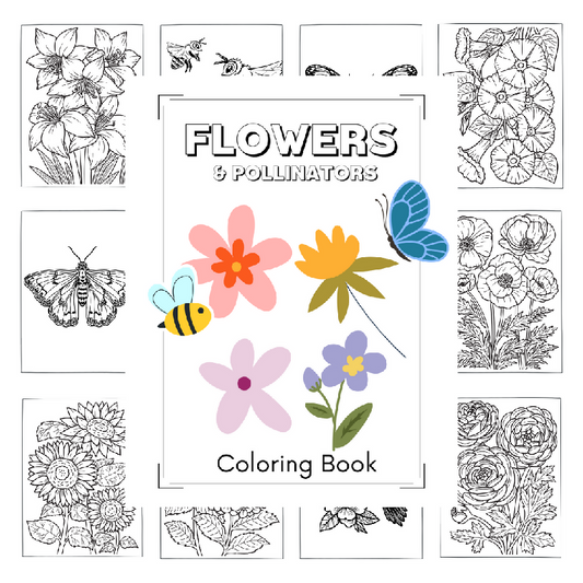 Flowers & Pollinators Coloring Book for Seniors | Spring Coloring Pages for Memory Care
