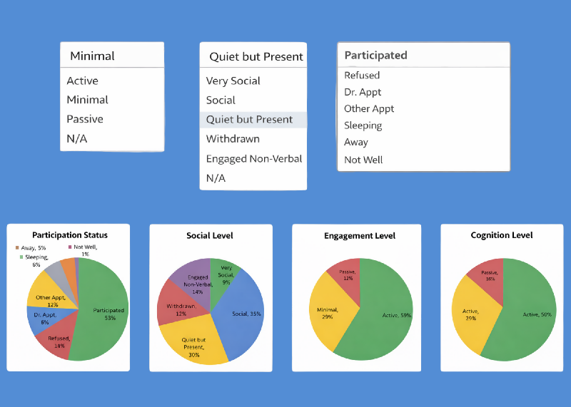 Activity Participation Tracker Excel, Activity Director Tool, Resident Engagement Spreadsheet