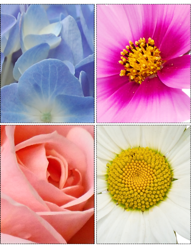 Flowers & Pollinators Zoom & Match Activity for Seniors | Cognitive Matching Game for Memory Care